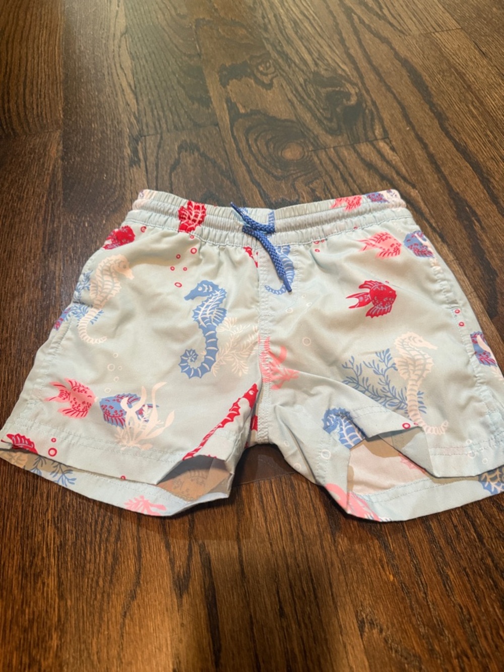 The Beaufort Bonnet Company Light Blue Seahorse & Fish Swim Shorts